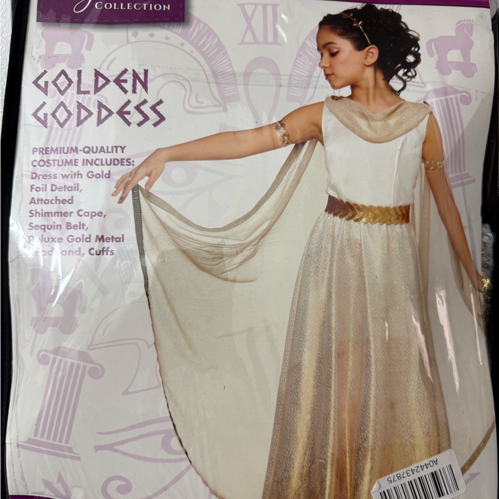Golden Goddess Costume with Gold Details